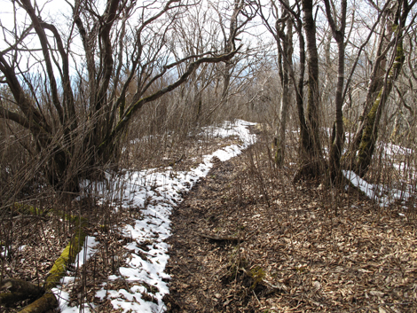 20160218hike (463)